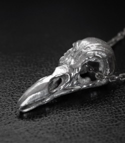 Sautoir " Raven Skull "